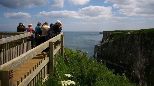 bempton-copy